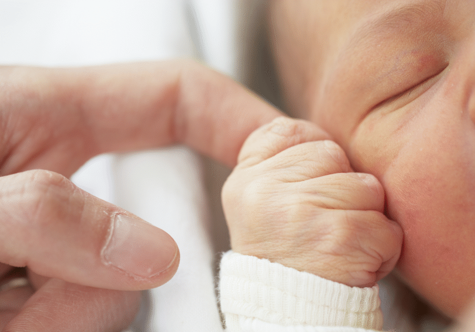 iStock_000024243617_Large